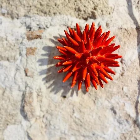 Apartment Picasso Art Alghero